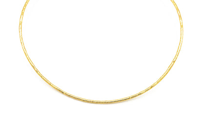 Lant la baza gatului